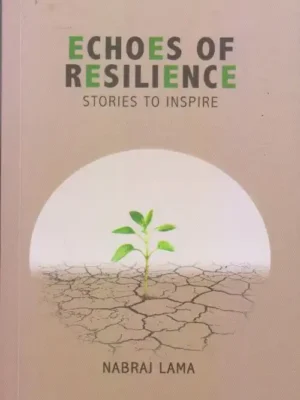 Echoes of Resilience (Stories to Inspire)