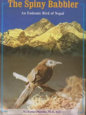 The Spiny Babbler (An Endemic Bird of Nepal)