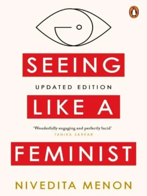 Seeing Like a Feminist